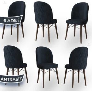 Concept Bika Serisi 6 Adet Mutfak Sandalyesi Ceviz Gürgen Ayaklı 1. Sınıf Babyface Kumaş
