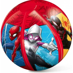 16929 Spiderman Top 50 cm