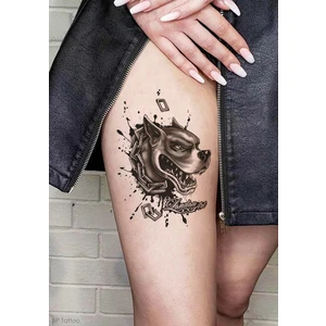 BP Tattoo Pitbull Unisex Geçici Dövme