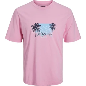 Jack & Jones Baskılı Bisiklet Yaka Erkek Tişört 12234242