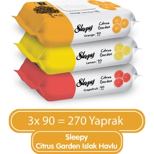 Citrus Garden Islak Bebek Havlusu 3X90 (270 YAPRAK)