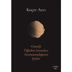 Güneşli Öğleden Sonraları Anımsamadığımız Şeyler - Koçer Avcı