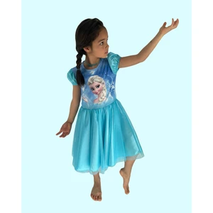 Frozen Elsa Elbise