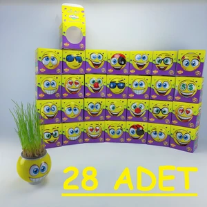 Çim Adam Çimoji 29 Adet Yeni Blister Ambalajlı Doğum Günü Hediyesi