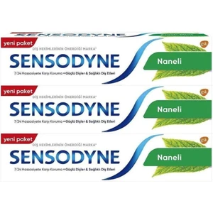 Mint/Naneli Diş Macunu 300ml 3lü Set