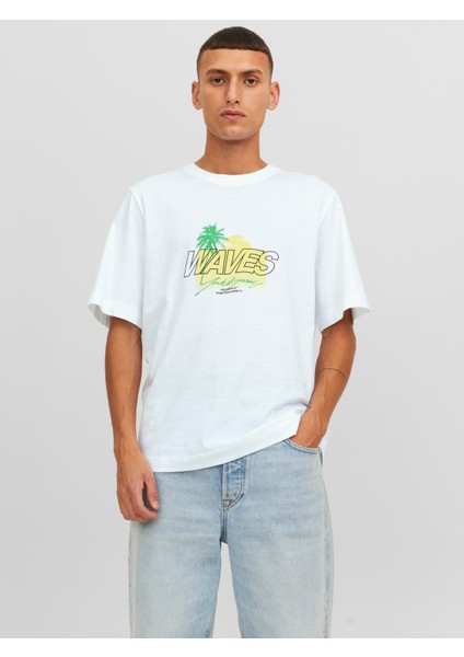 Baskılı Bisiklet Yaka Erkek Tişört 12234242 fiyatları