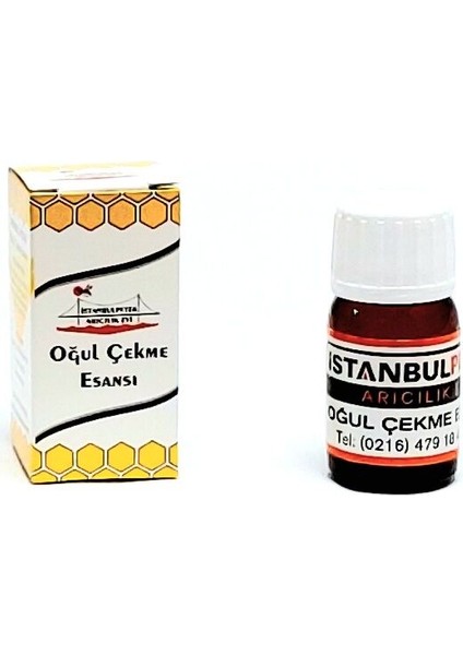 Oğul Çekme Esansı