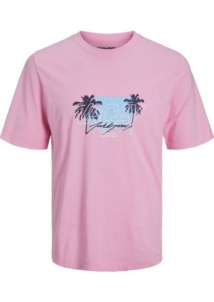 Baskılı Bisiklet Yaka Erkek Tişört 12234242