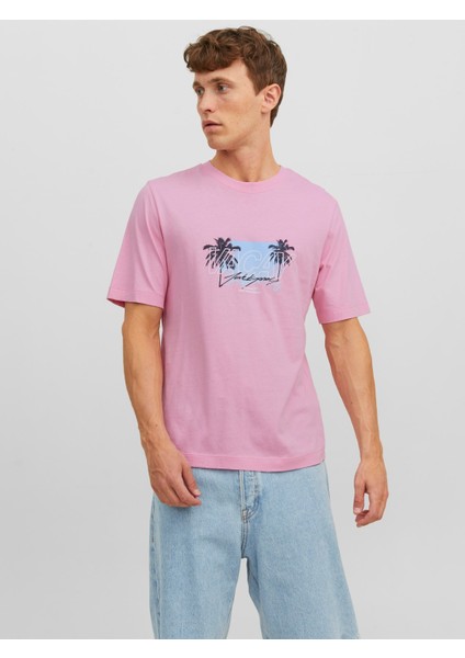 Baskılı Bisiklet Yaka Erkek Tişört 12234242 fiyatları