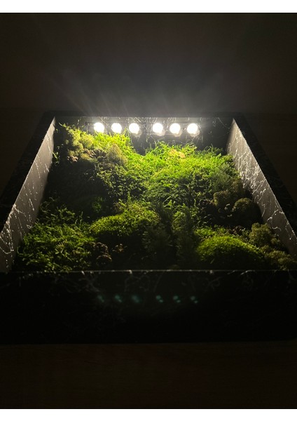 LED Işıklı Flat Moss Çerçeve modelleri