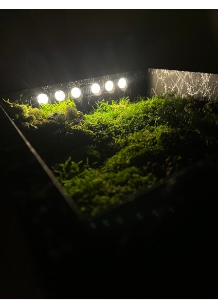 LED Işıklı Flat Moss Çerçeve fırsatları