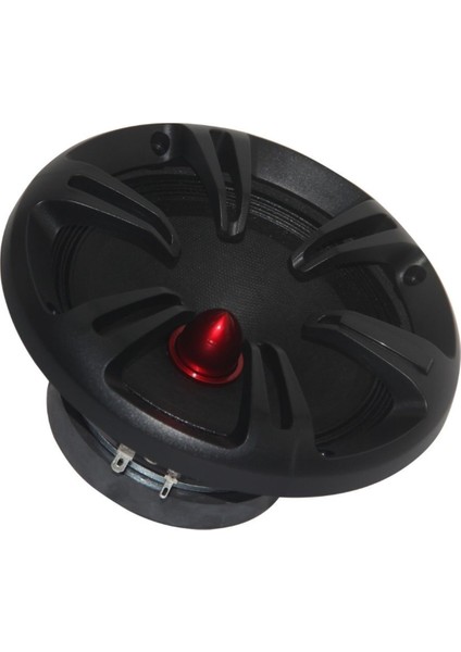 Roadstar RDH-M200PRO 200 Watt 20CM Oto Hoparlör (2 Li )