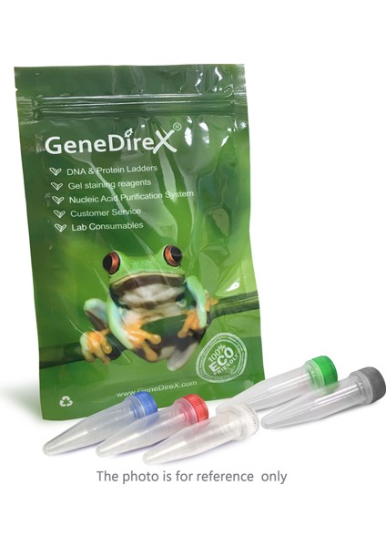 Gdp-Hifi Dna Polymerase