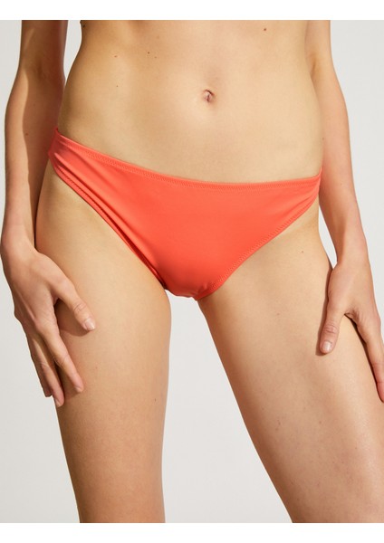 Basic Bikini Altı Normal Bel