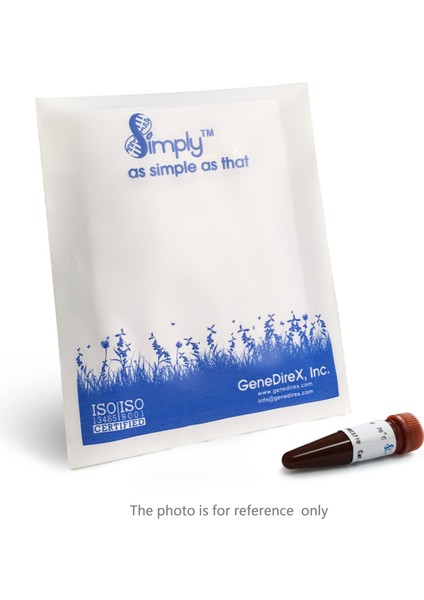 Simplygreen Qpcr Master Mix, Rox