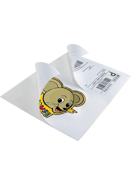 Bilgisayar Etiketi TW-2052 46,4X21,2 mm 100 Lü Lazer Etiket 1 Paket Tanex Davetiye Kargo Koli Kutu Etiketi