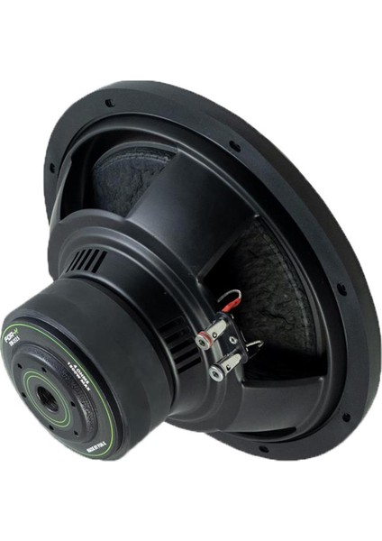 XW-212S 30CM 1500 Watt 400 Watt Rms Subwoofer Hoparlör