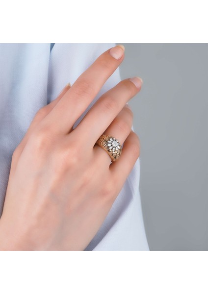 Arya Petek fiyatları