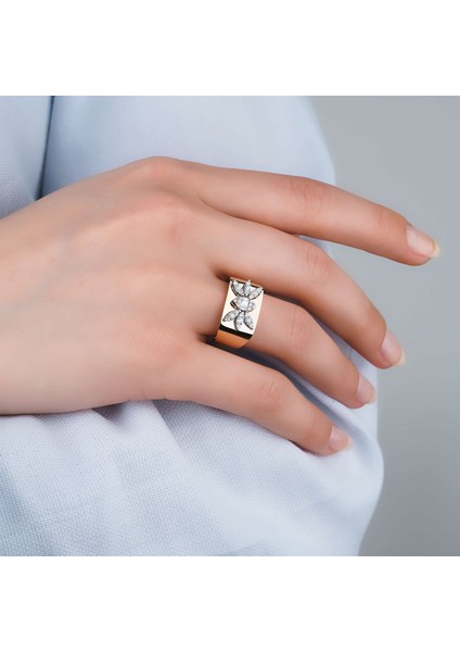 Arya Sueno fiyatları