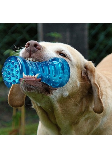 Simple Life Köpek Diş Fırçası Kemik Sağlam Köpek Etkileşimli Oyuncak (Yurt Dışından)