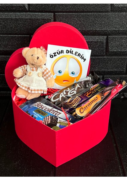 Sevgiliye Özür Hediyesi Kalp Kutuda Elbiseli Mini Ayıcık ve Bitter Çikolatalar fiyatları