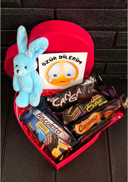 Özür Dilerim Hediyesi Kalp Kutuda Mavi Mini Tavşan ve Bitter Çikolatalar modelleri