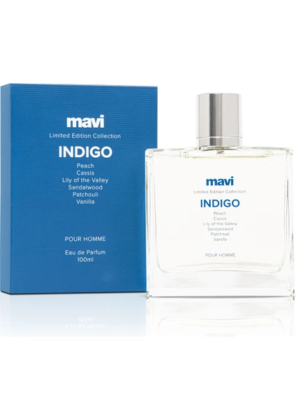 Indigo Erkek Parfüm EDP 100 ml0910572-33652