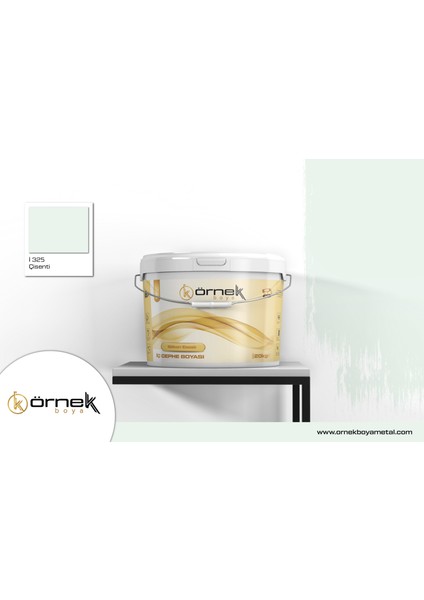 Silikonlu Iç Cephe Boya modelleri