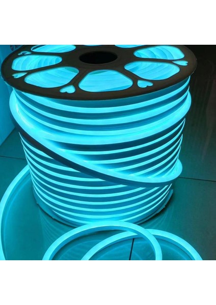 Yüksek Lümenli Neon LED 50 Metre Turkuaz