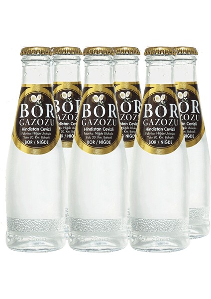 Gazoz Hindistan Cevizli 6X200 ml