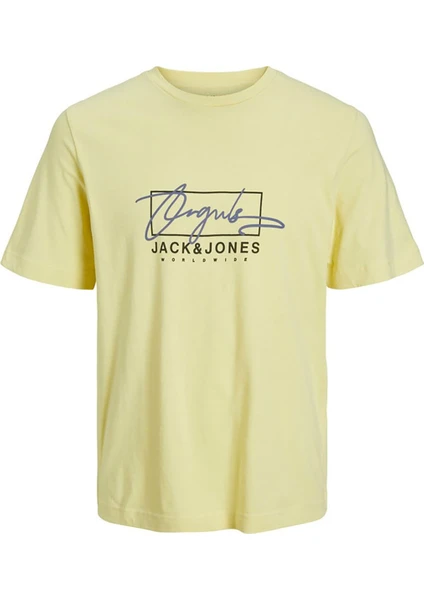 Jack & Jones Erkek Günlük T-Shirt 12235487