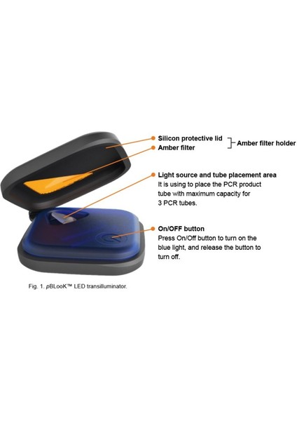 Pblook™ LED Transilluminator