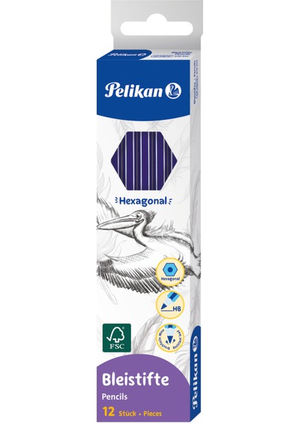 Kurşun Kalem Klasik Hb 12LI Paket