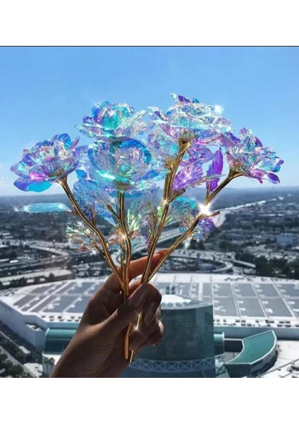 Sonsuzluk Gülü Hediyelik Gül - Ev Dekor - Sevgiliye Hediye-Anneler Günü Hediyesi-Solmayan Gül