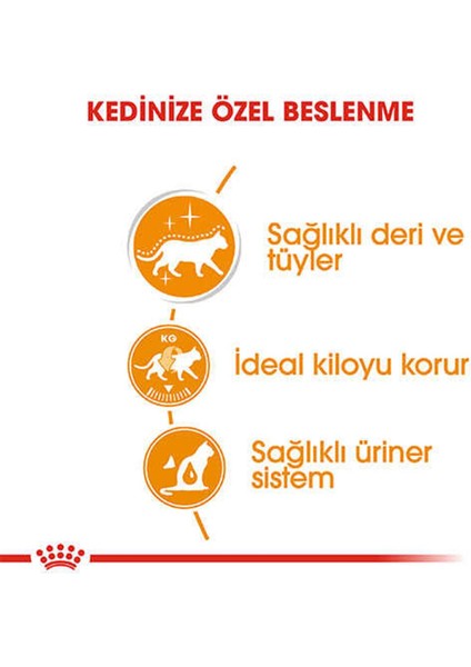 Intense Beauty Gravy Pouch Kedi Maması 85 gr