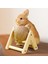 Yavru Kediler Tavşanlar Için Balo Ahşap Desteği ile Bunny Scratcher Chinchilla (Yurt Dışından) 3