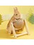 Yavru Kediler Tavşanlar Için Balo Ahşap Desteği ile Bunny Scratcher Chinchilla (Yurt Dışından) 5