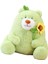 Ayı Peluş Oyuncaklar Sevimli Ayı, Oda Dekorasyonu Için Gül Çiçek Peluş Bebek Tutarak Yeşil 35CM (Yurt Dışından) 2