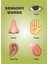 Okul Öncesi Ingilizce Çocuklar Için Duyusal Sözcükler Posteri (50*70 Karton Poster) 1