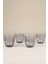 Splendid 4'lü Meşrubat Bardağı - Füme - 290 ml 3