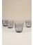 Splendid 4'lü Meşrubat Bardağı - Füme - 290 ml 4
