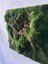 Flat Moss Patika 3
