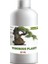 BK Commerce Vigorous Plant Bonsai Besini Vitamini Konsantre Sıvı Bitki Besini 50 ml 1