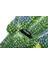 60" x 28"/1.52M x 71CM Buddy Croc Ride On 4