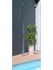 Sam Havuz Duş Summer Breeze 03 1
