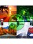 Kia Xceed / Ceed / Proceed 2018-2025 Uyumlu SAHLER 4.5D Premium Oto Paspas- Kia Ceed Serisi 3