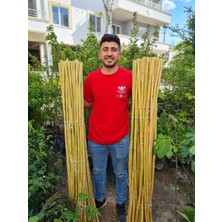 Çermik Fidancılık Bambu Fidan Bitki Destek Çubuğu 20 Adet 2 Metre Boy