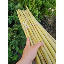 Çermik Fidancılık Bambu Fidan Bitki Destek Çubuğu 20 Adet 2 Metre Boy