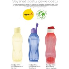 Tupperware Eco Şişe 750 ml 3 Lü Matara Suluk Set Kolay Kapak Water Bottle