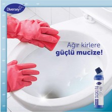 Diversey Ağır Kirler İçin Tuvalet Temizleyici Taskı R6 Wc 750 ml